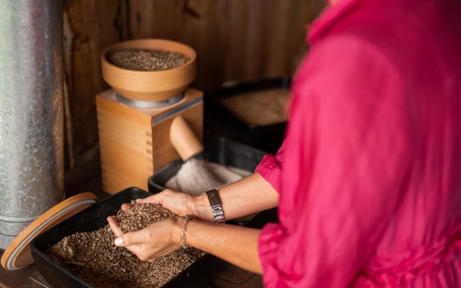 Vegan-friendly hotels in South Tyrol wanted? Choose Belvita! Vegan-friendly hotels in South Tyrol wanted? Choose Belvita!