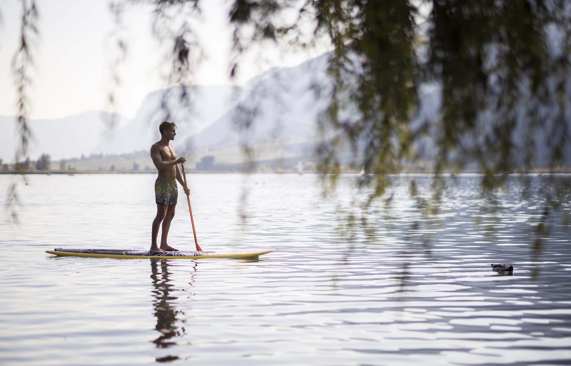 Mediterranean: your wellness hotels in Bolzano & Environs Mediterranean: your wellness hotels in Bolzano & Environs